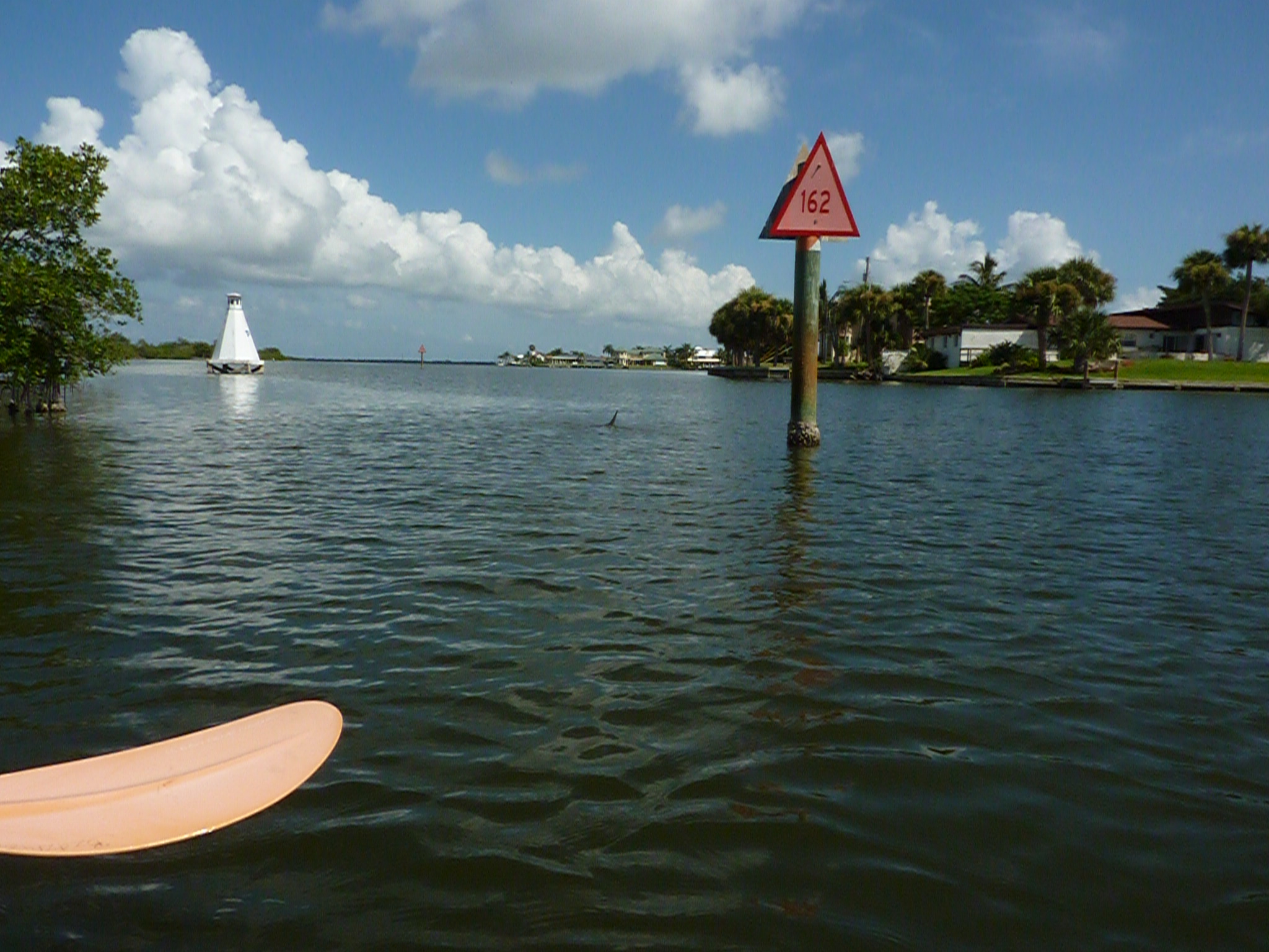 Kayaking & Mangroves