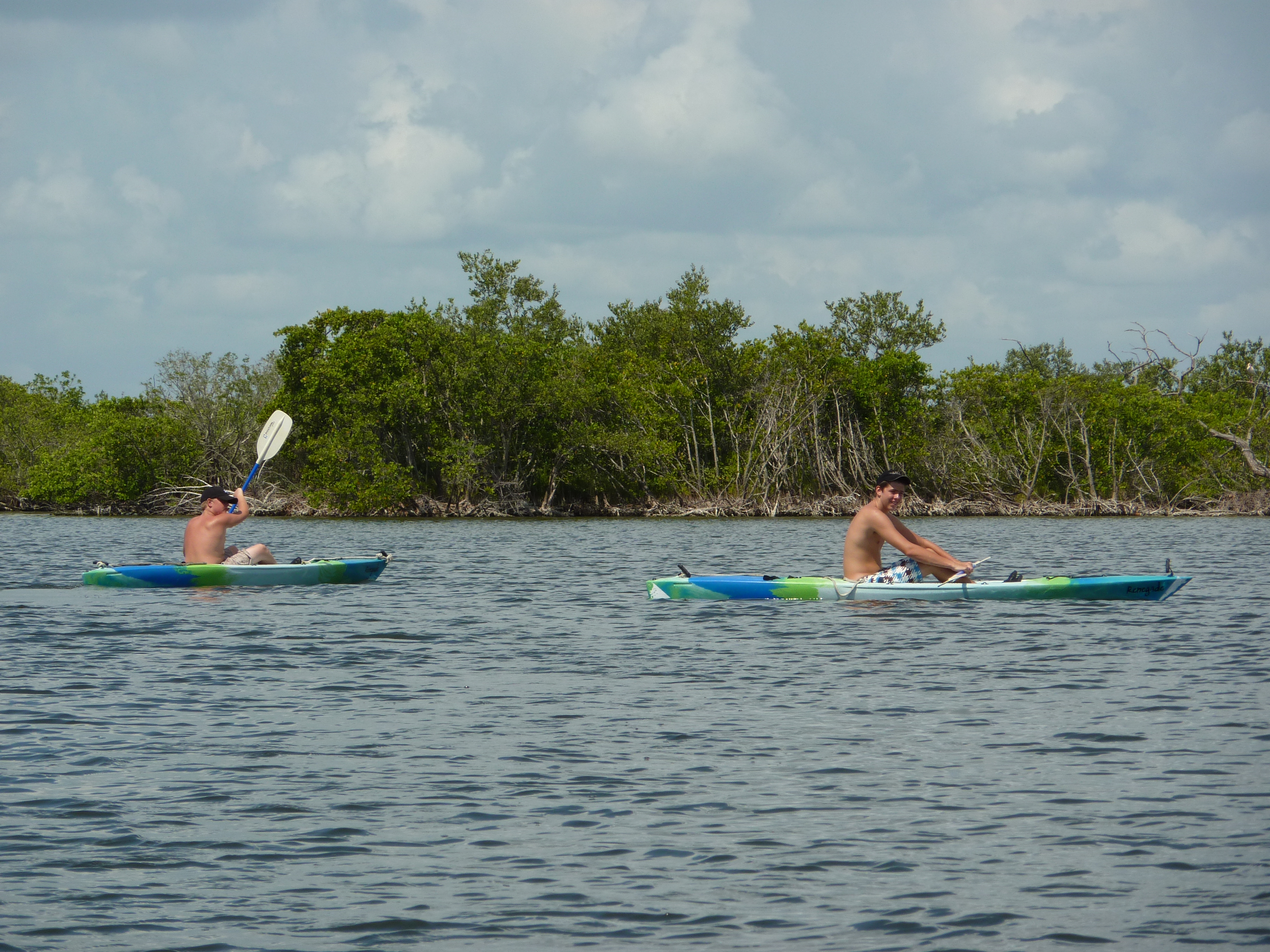 Kayaking & Mangroves