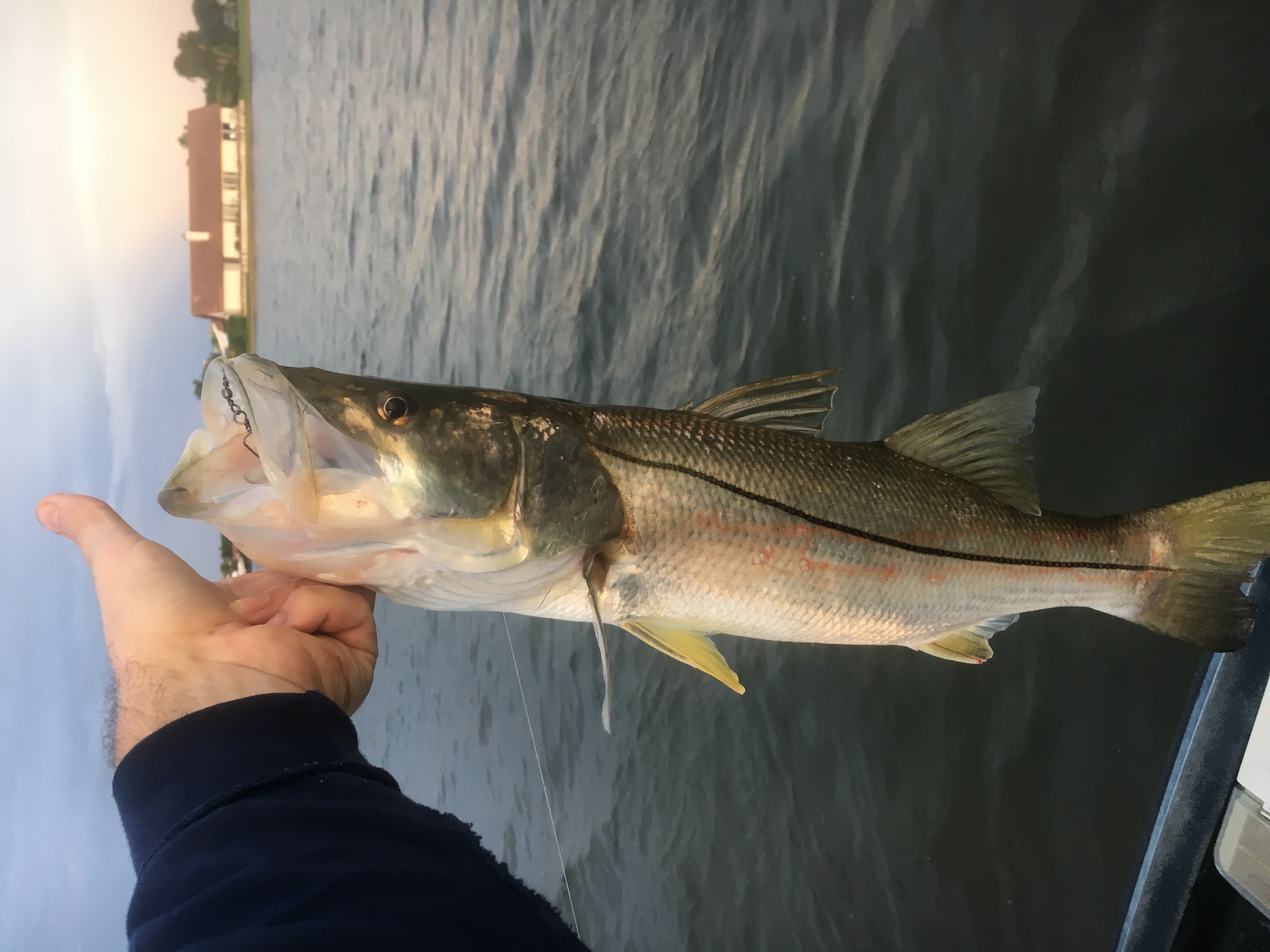 Fishing