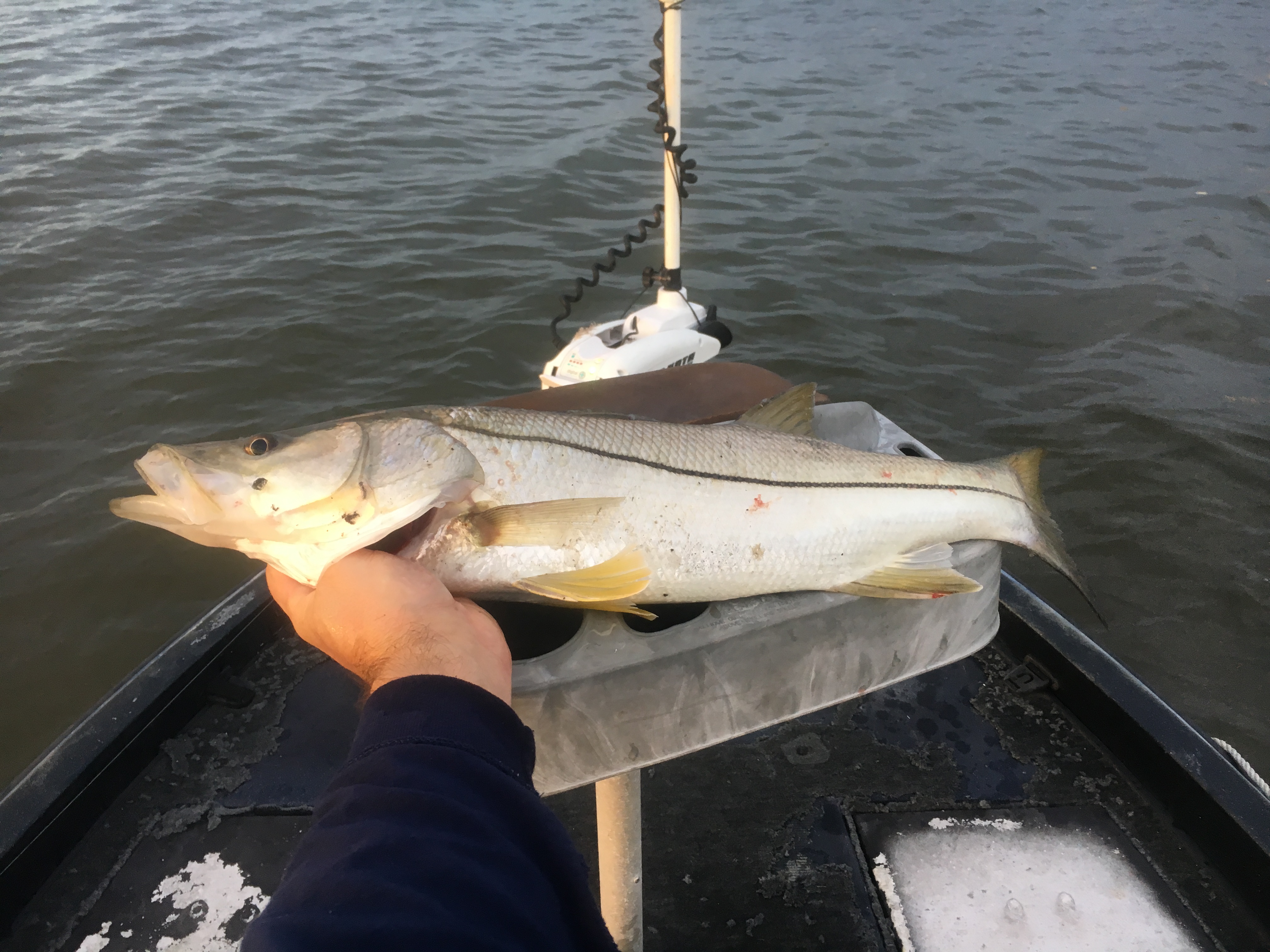 Fishing
