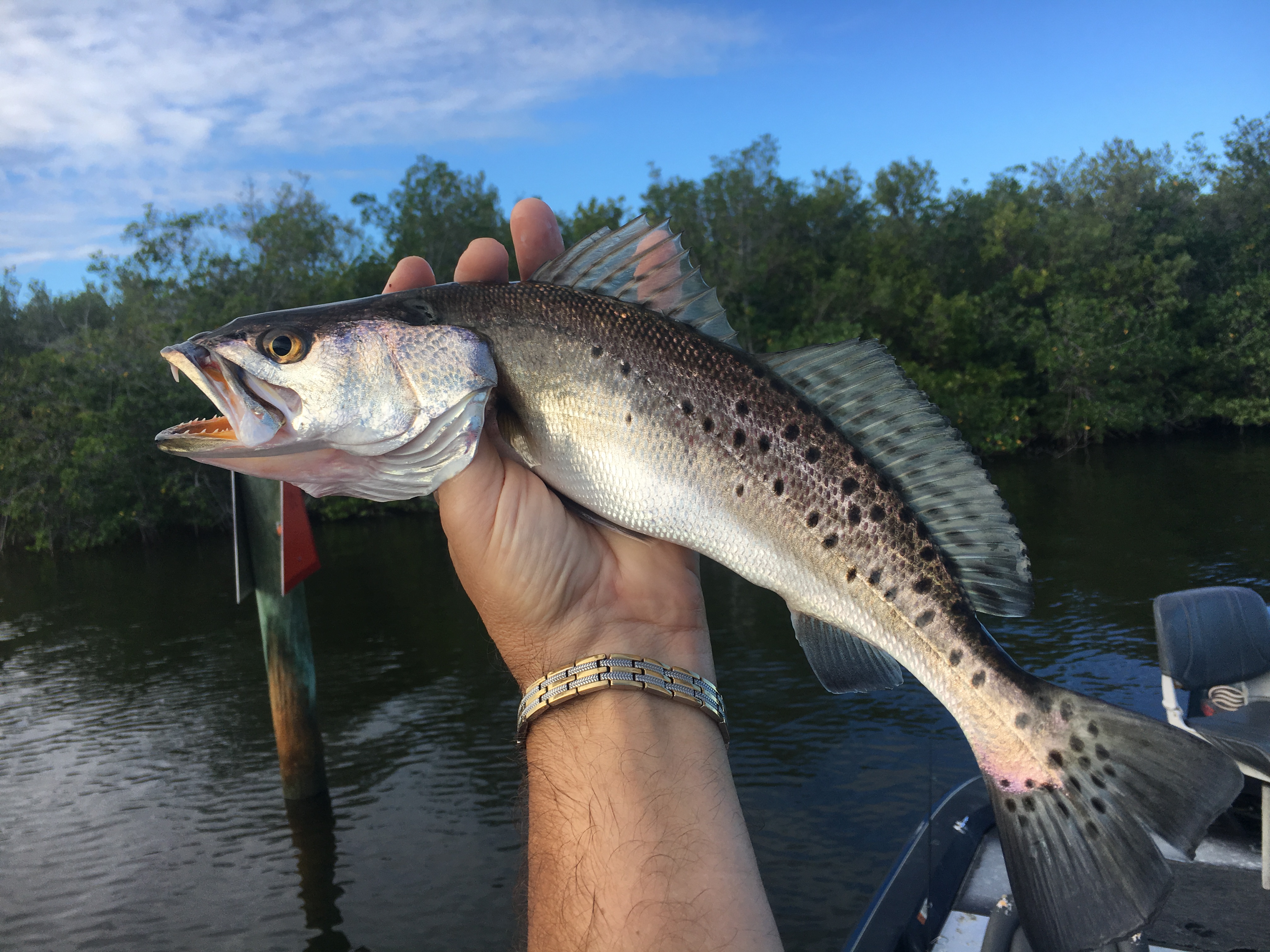 Fishing